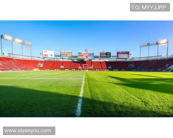 朴智星:从绿茵场的传奇到亚洲足球的骄傲,影响力跨越国界与时代 朴智星:从绿茵场的传奇到亚洲足球的骄傲,影响力跨越国界与时代